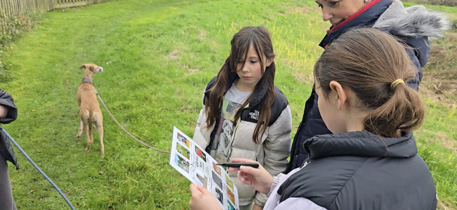 A family walk with wildlife spotter sheets