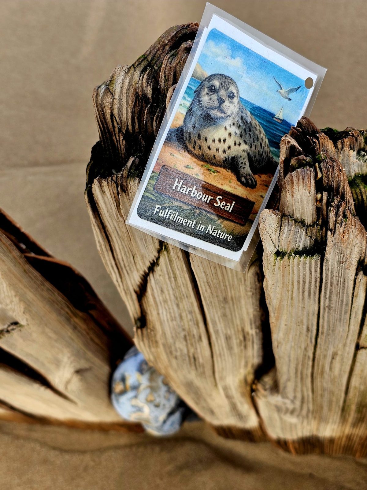 Wildlife Discovery Walks with Fulfilment in Nature