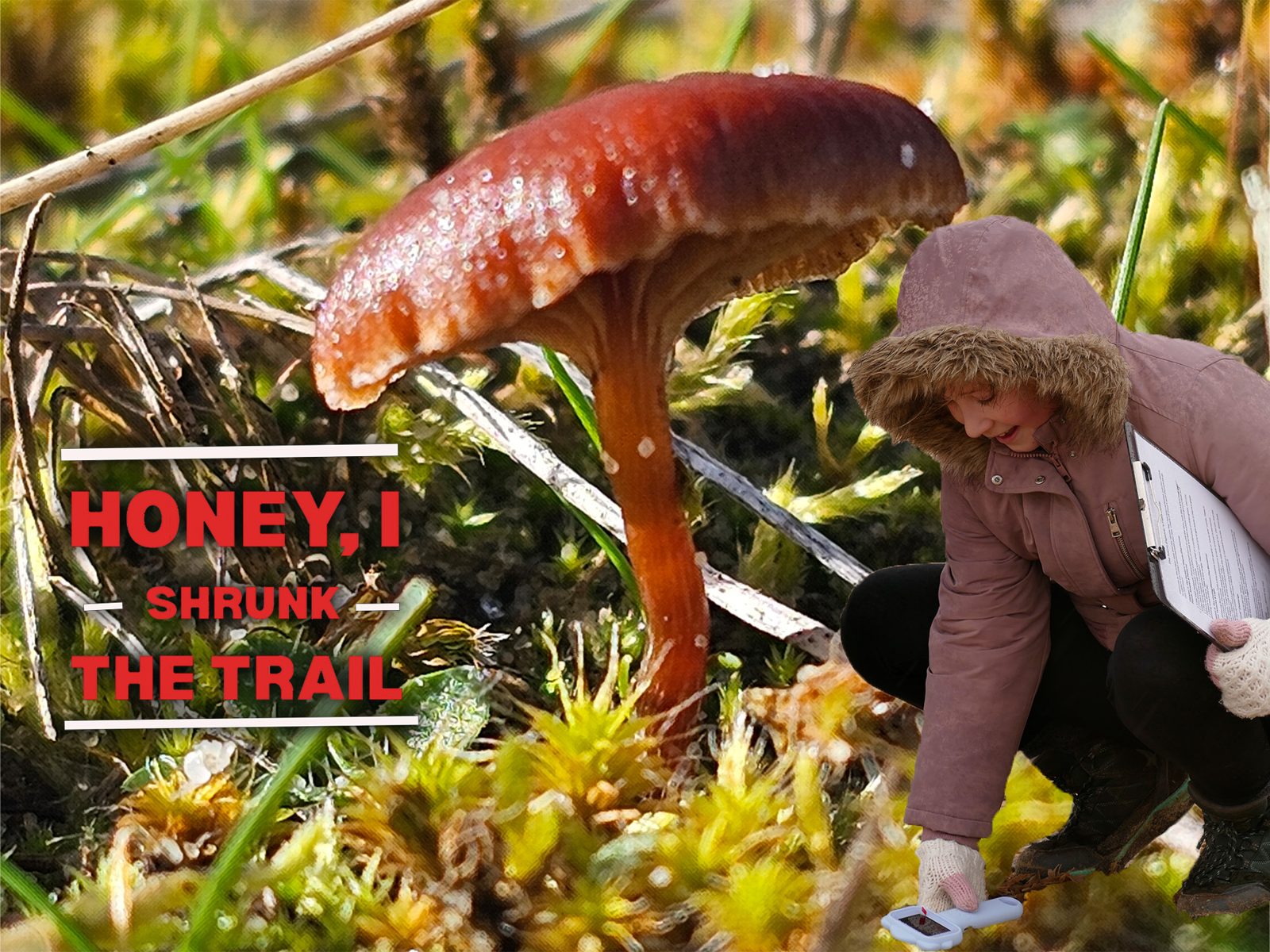 Nature Discovery & Conservation activities with Fulfilment in Nature