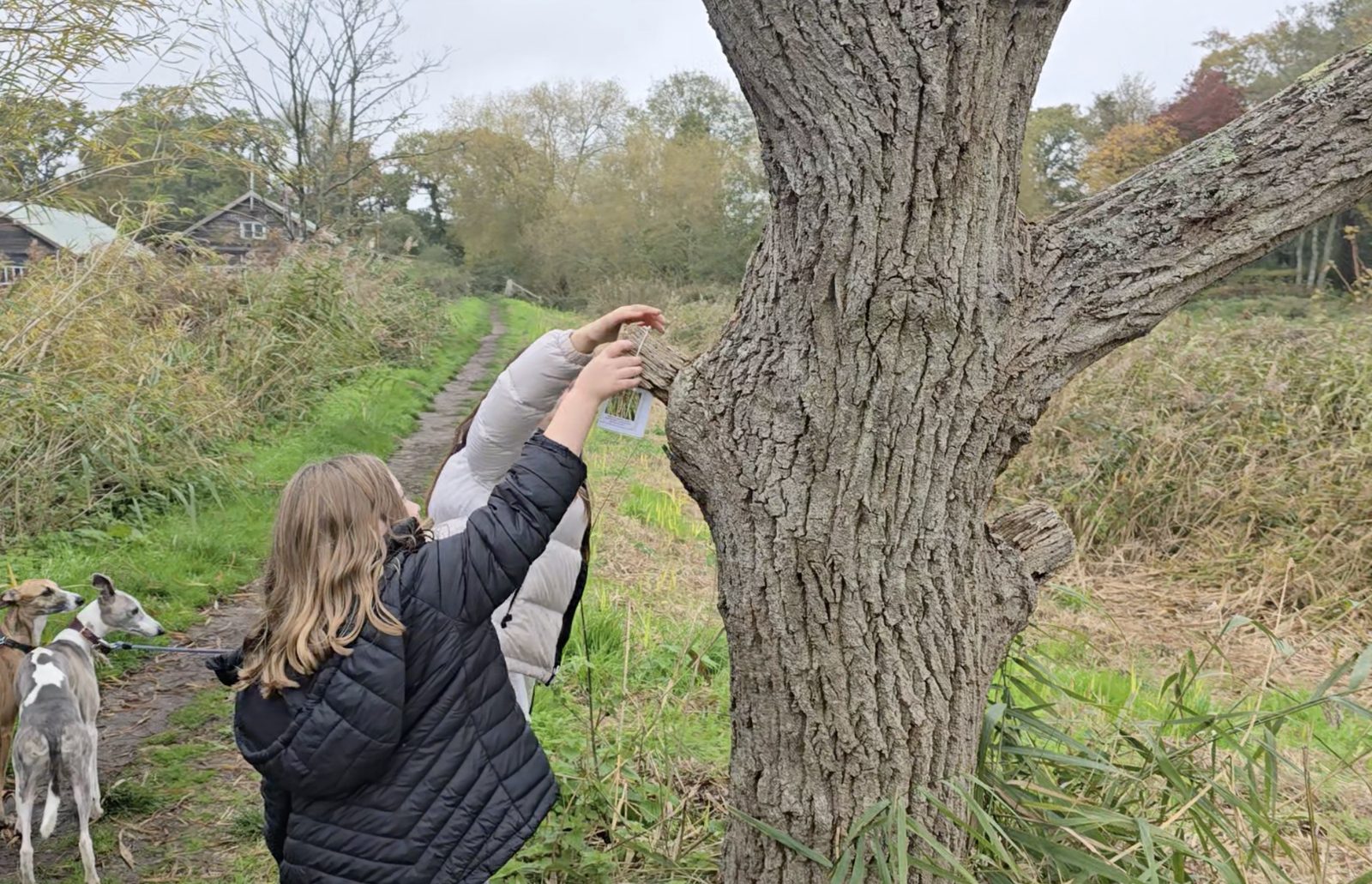 Nature Workshops with Fulfilment in Nature