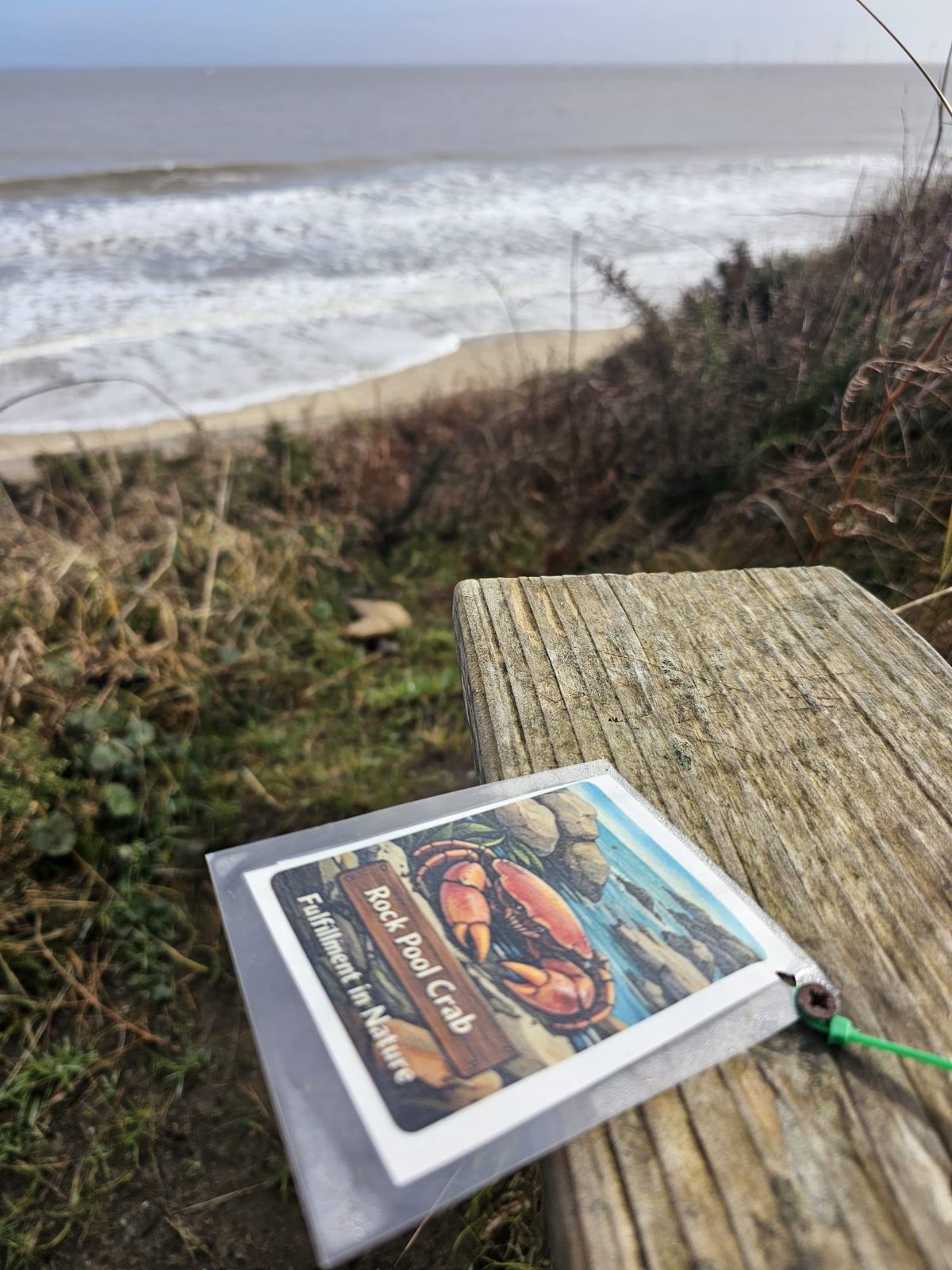 Navigation Adventures with Fulfilment in Nature