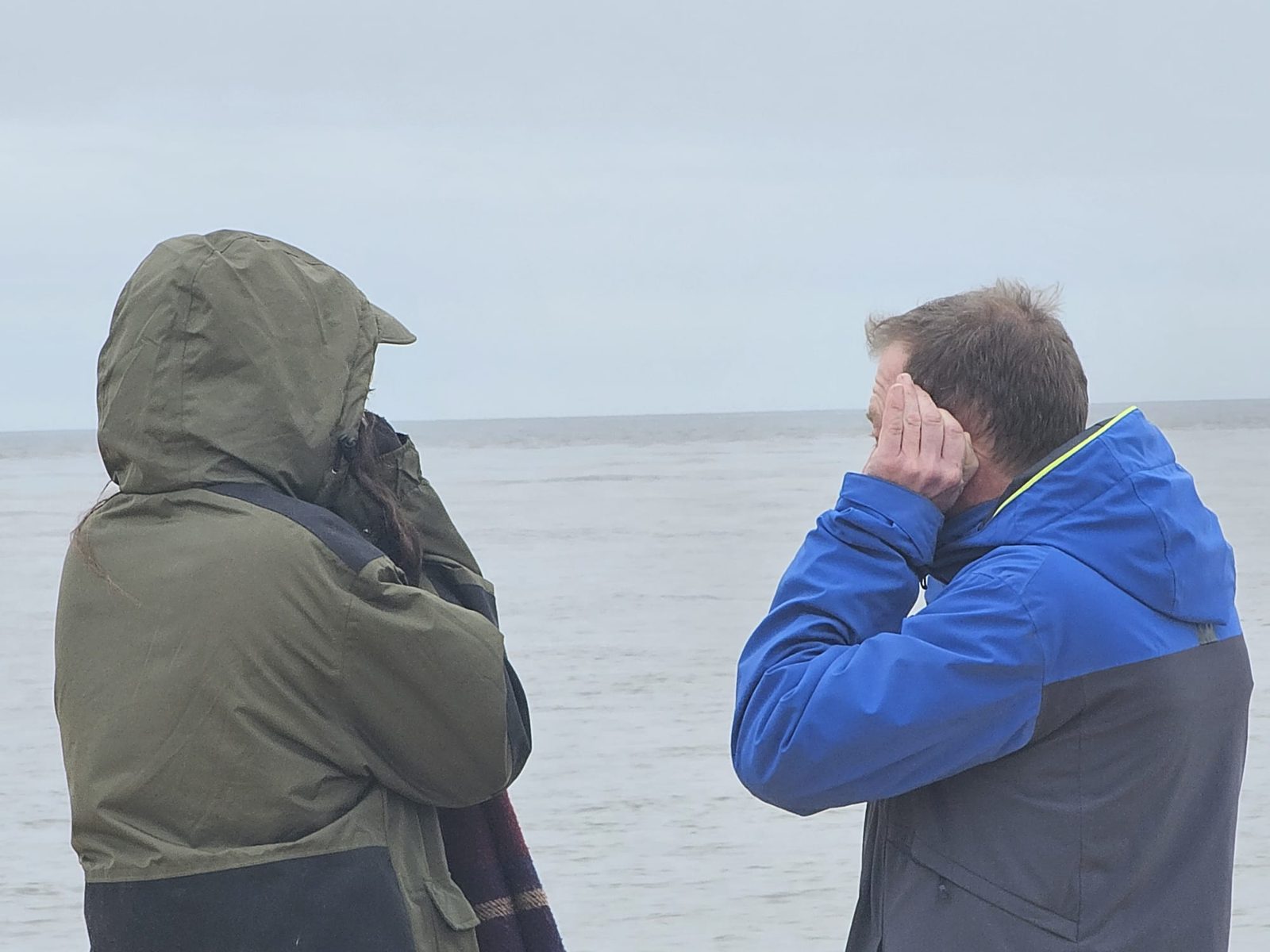 Connection with nature — Fulfilment in Nature participants